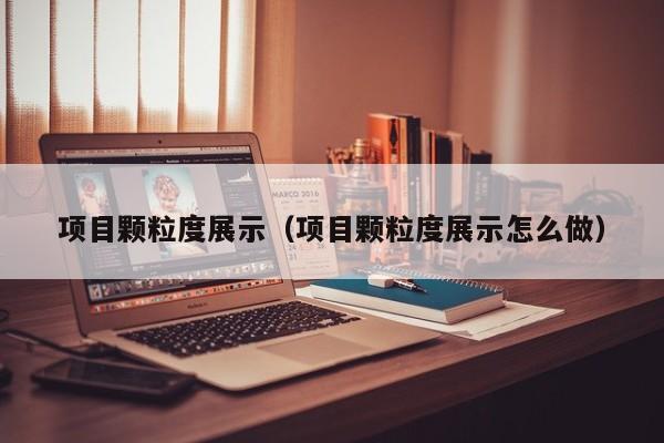 项目颗粒度展示（项目颗粒度展示怎么做）