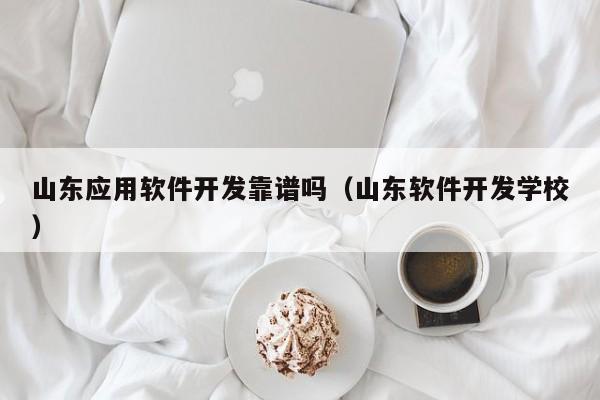 山东应用软件开发靠谱吗（山东软件开发学校）